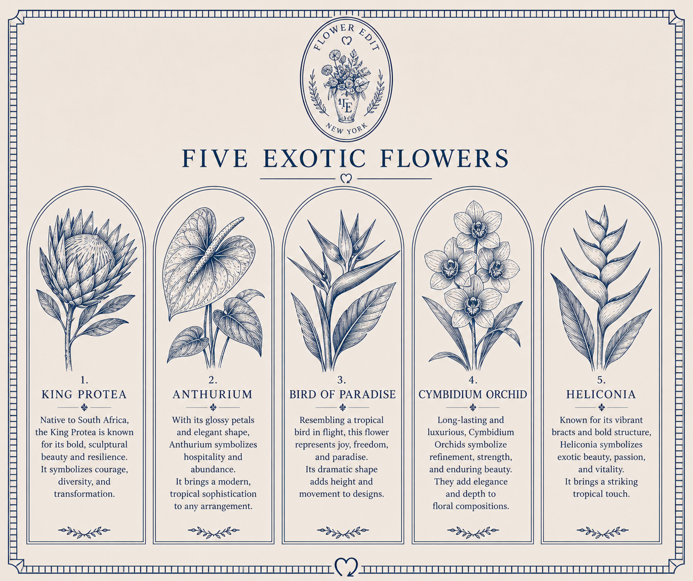 Illustrated flower education card included with every Fresh Flower Friday Club arrangement, featuring King Protea, Anthurium, Bird of Paradise, Cymbidium Orchid and Heliconia.